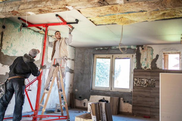 Best Insulation Installation Services in Hillsboro, WI